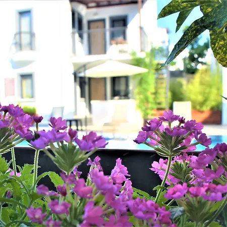 فندق Modern Life Bodrum 3*