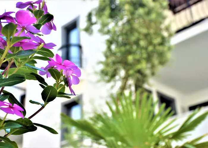 Hotel Modern Life Bodrum