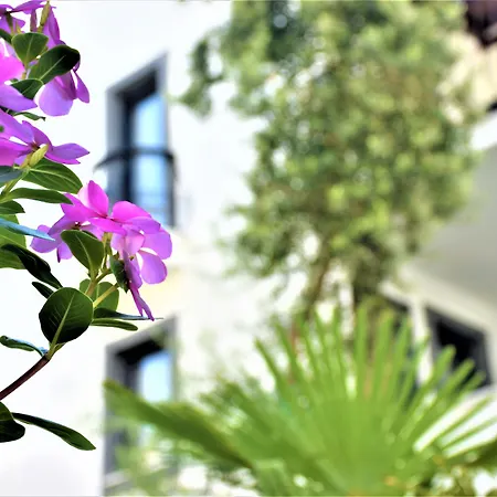 호텔 Modern Life Bodrum