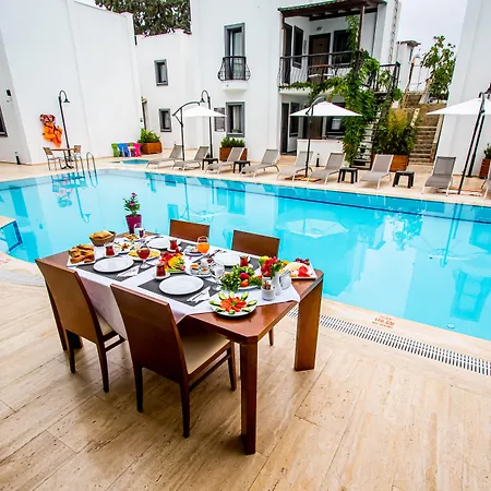 Modern Life Bodrum