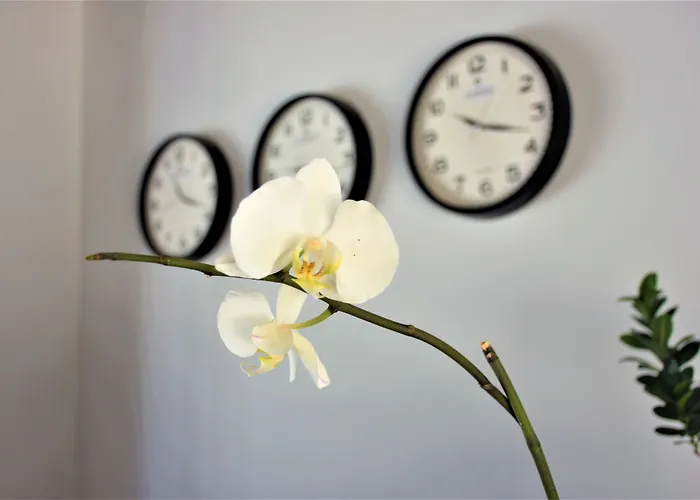 Modern Life Bodrum 3* מוגלה