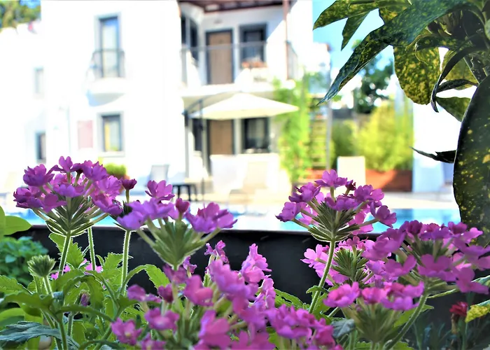 Hotel Modern Life Bodrum 3*